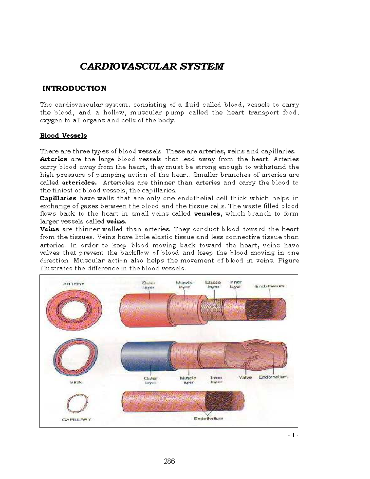 Anatomy Physiology Of Cardiovascular System 1 Cardiovascular System Anatomy Physiology Of Cardiovascular System 1 Cardiovascular System