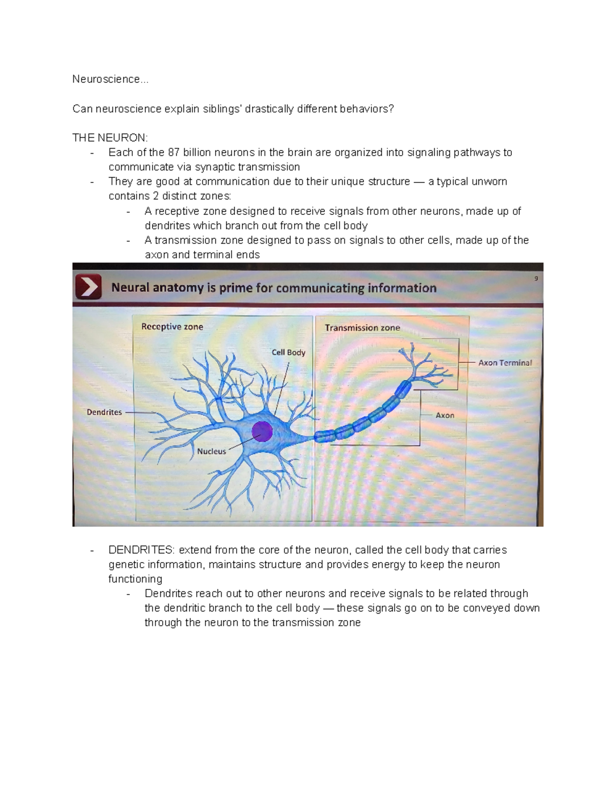 Neuroscience - mod notes (have not finished them) - Neuroscience... Can ...