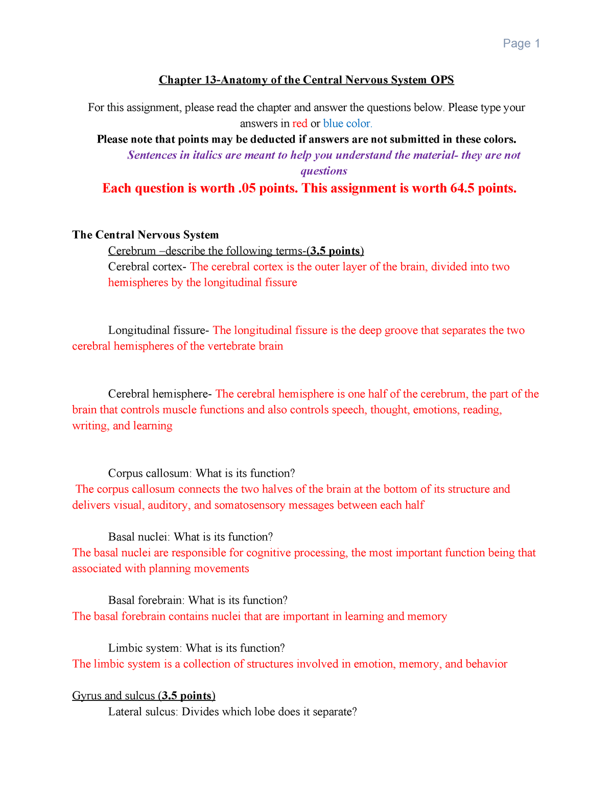 BIO 201 Chapter 13 Central Nervous System Assignment OPS - Chapter 13 ...