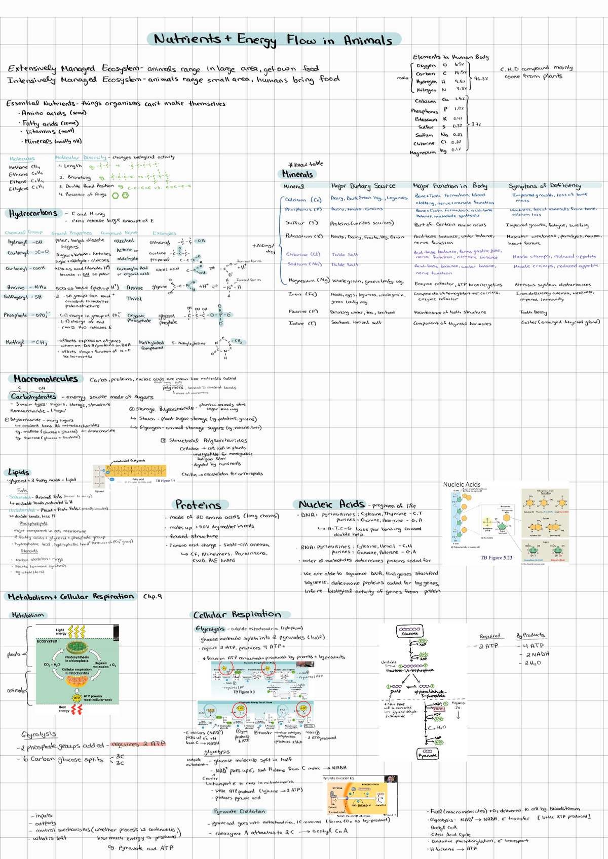 Unit 2 Main Note 22010 1 224505 - Biol1050 - Studocu