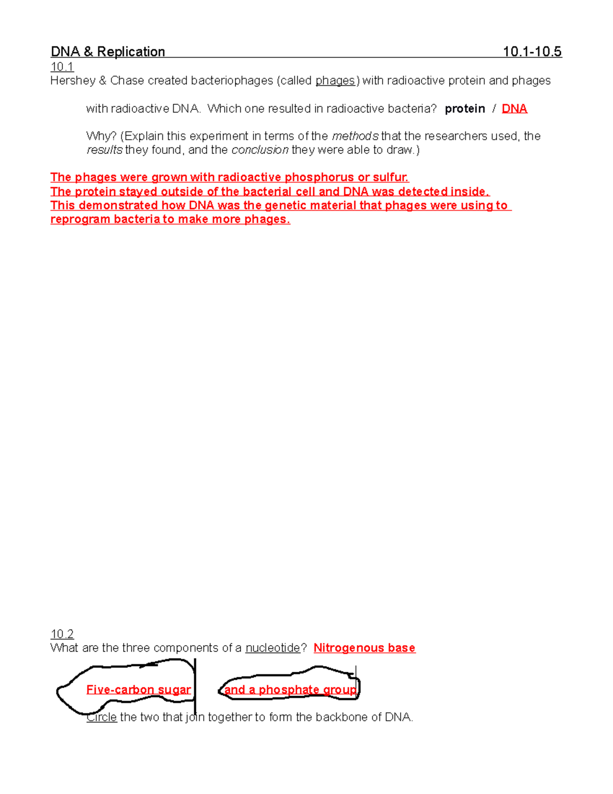 Guided notes 5 - Dr. Nielson - DNA & Replication 10-10. 10 Hershey ...