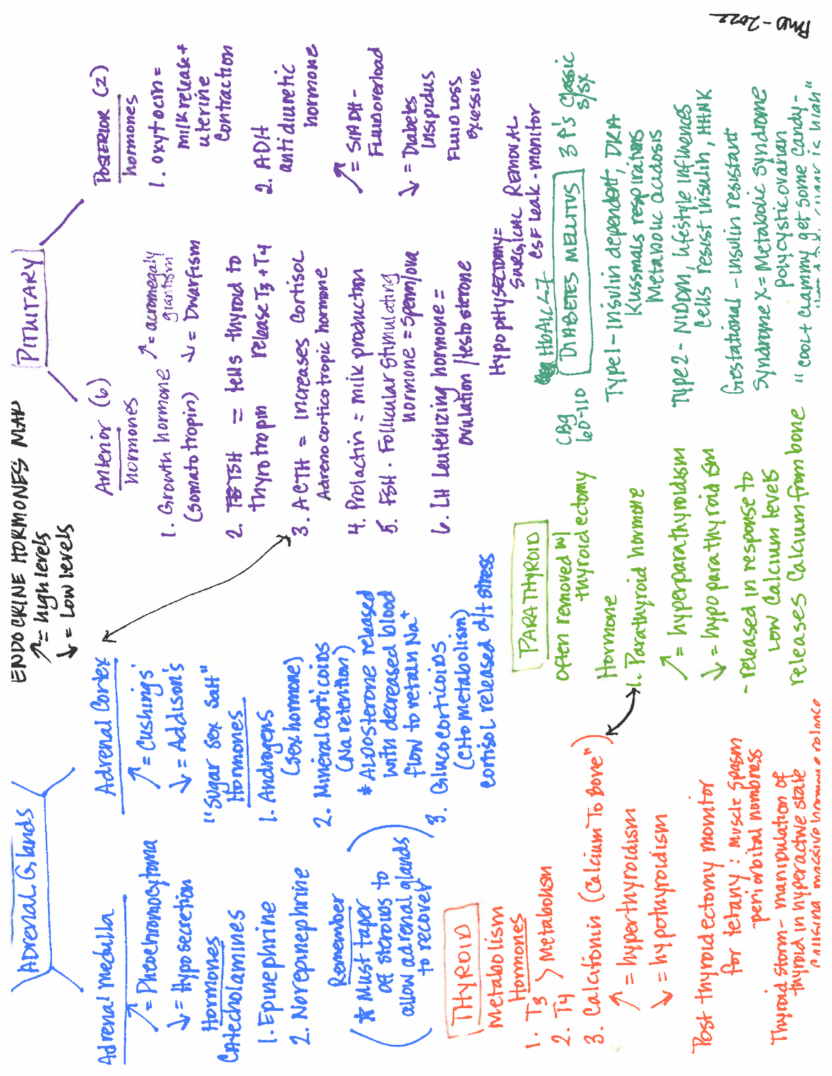 Endocrine hormone map - NUR 150 - Studocu