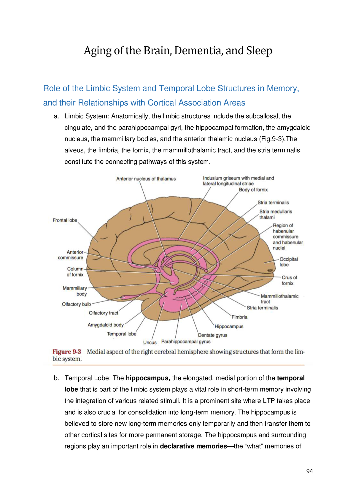 Aging Of The Brain, Dementia, And Sleep - Limbic System: Anatomically ...