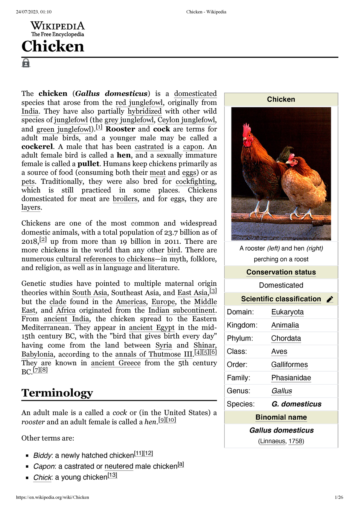 Chicken - Wikipedia - This is the report for the students of polytechnic -  Chicken A rooster (left) - Studocu