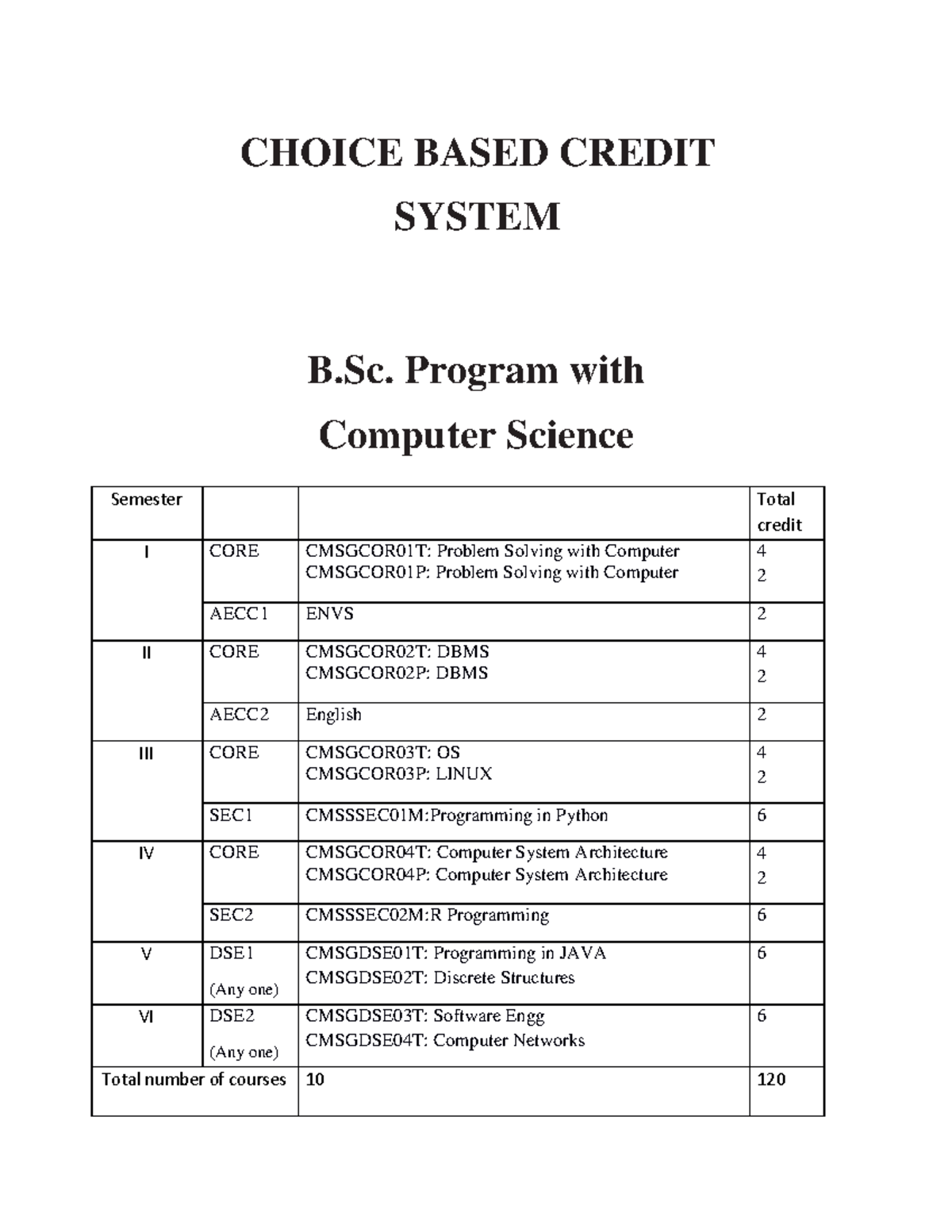 Cmsg - Syllabus - CHOICE BASED CREDIT SYSTEM B. Program with Computer ...