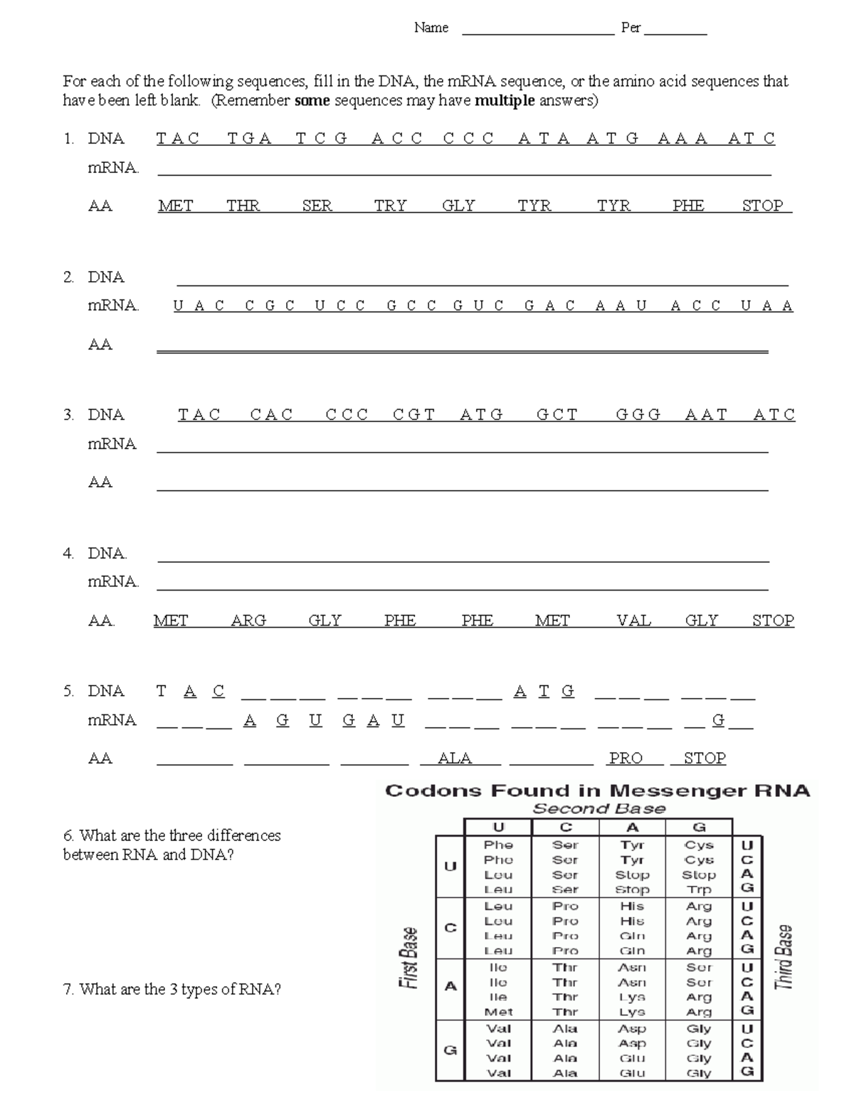 06 Transcription & Translation HW - Name ______________________ Per ...