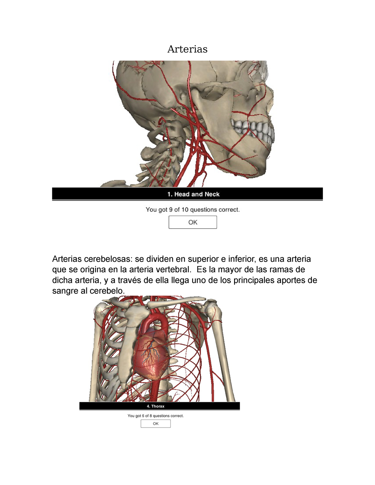 ramas de la arteria vertebral