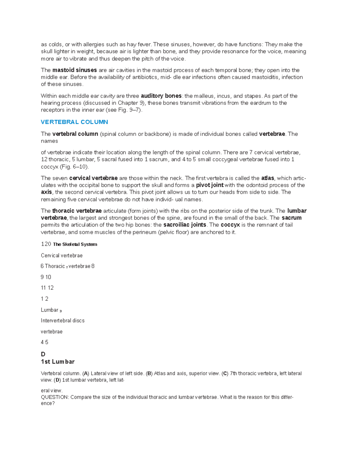 Anatomy notes 13 - as colds, or with allergies such as hay fever. These ...