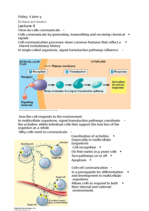 Evolution and genetics 2 - Friday, 4 June y Evolution and genetics ...