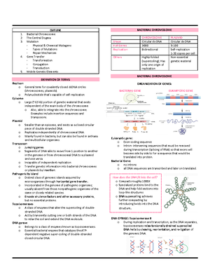 Microbio- Compiled - .... - NOBHYM FAITH O. CEÑO | BSMT 4-3 1 MYCOLOGY ...