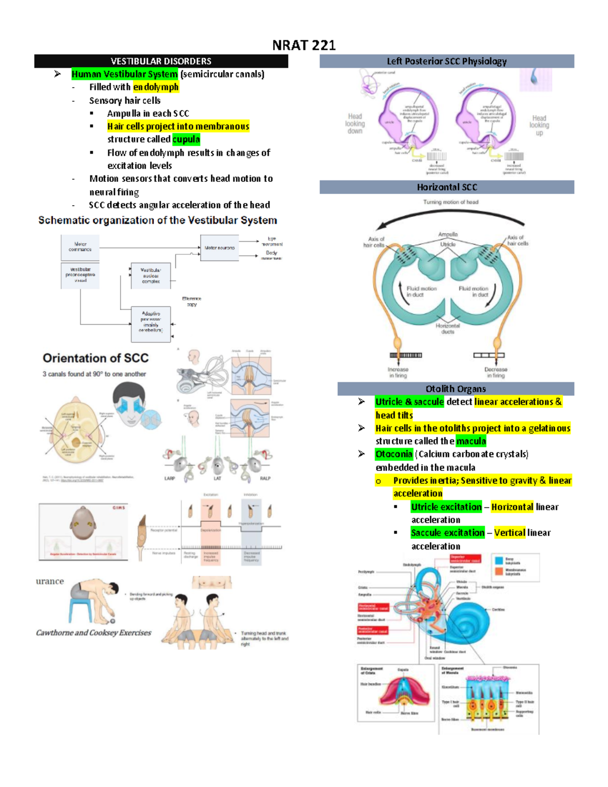 Neurology Rehabilitation, Assessment, and Treatment - VESTIBULAR ...