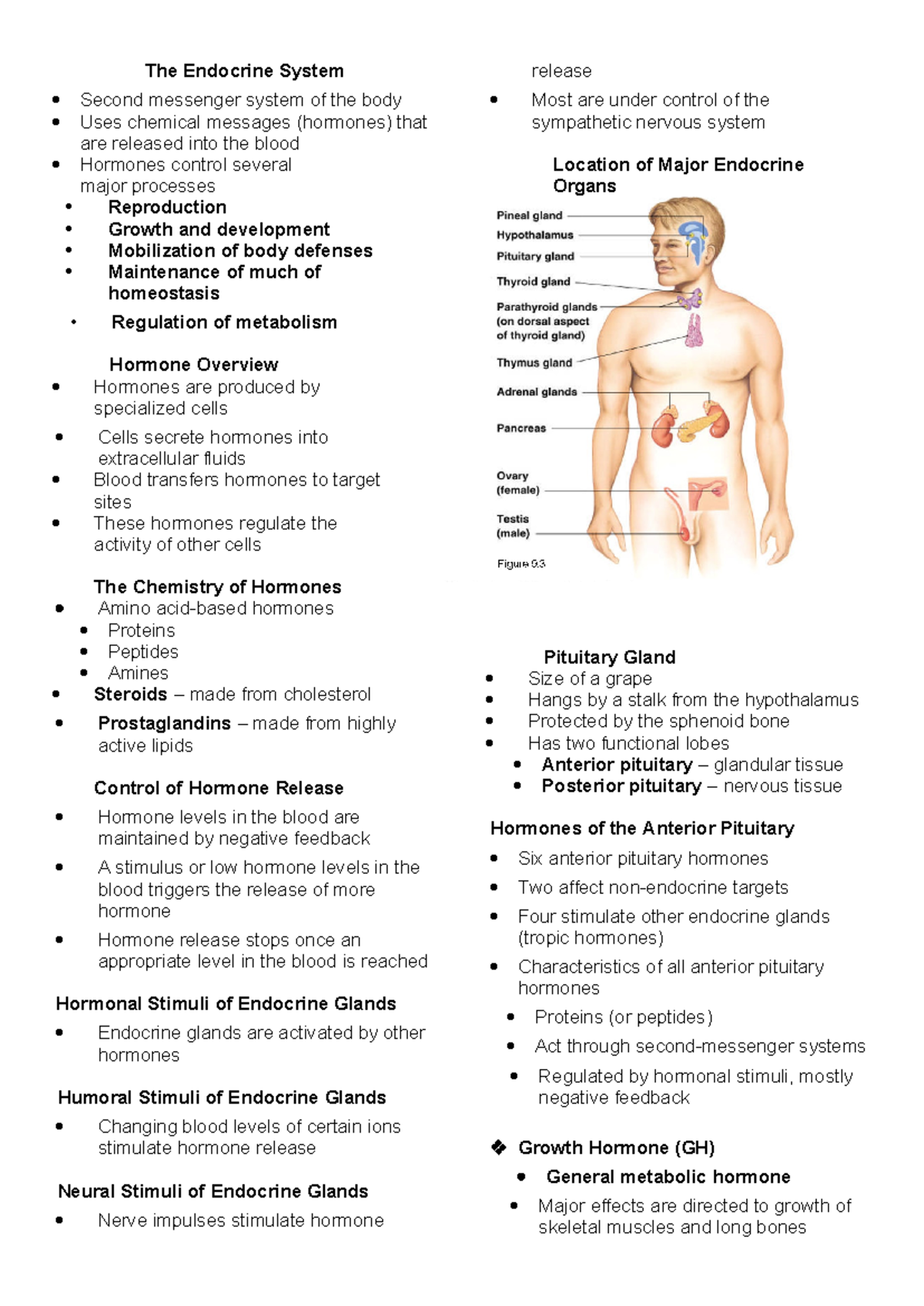 Anaphy Lec Reviewer - about anatomy - The Endocrine System Second ...