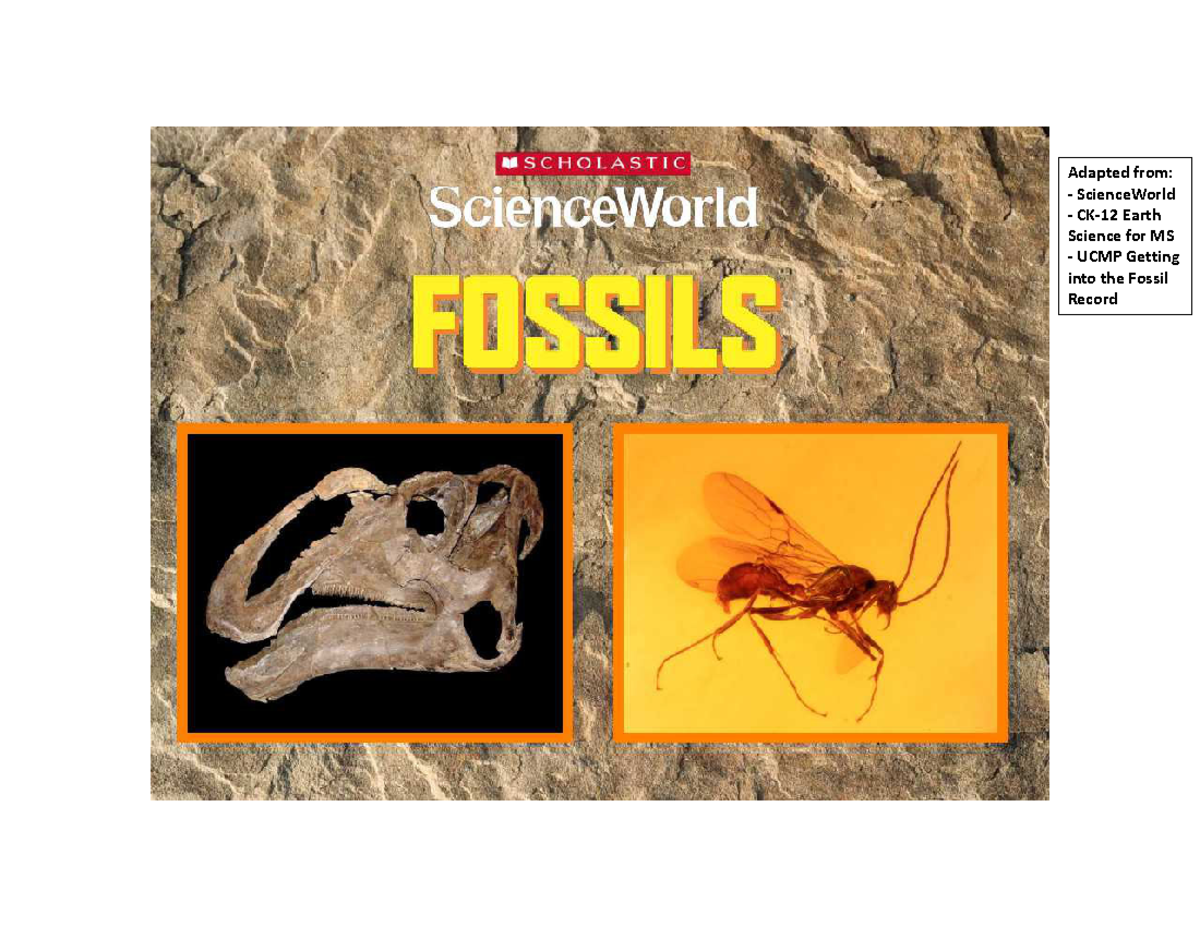 Fossils Notesslides fossils 2023 Adapted from ‐ ScienceWorld ‐ CK