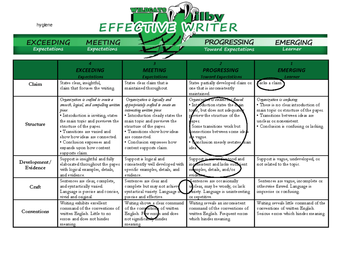 Effective Writer Teacher - 4 EXCEEDING Expectations 3 MEETING ...