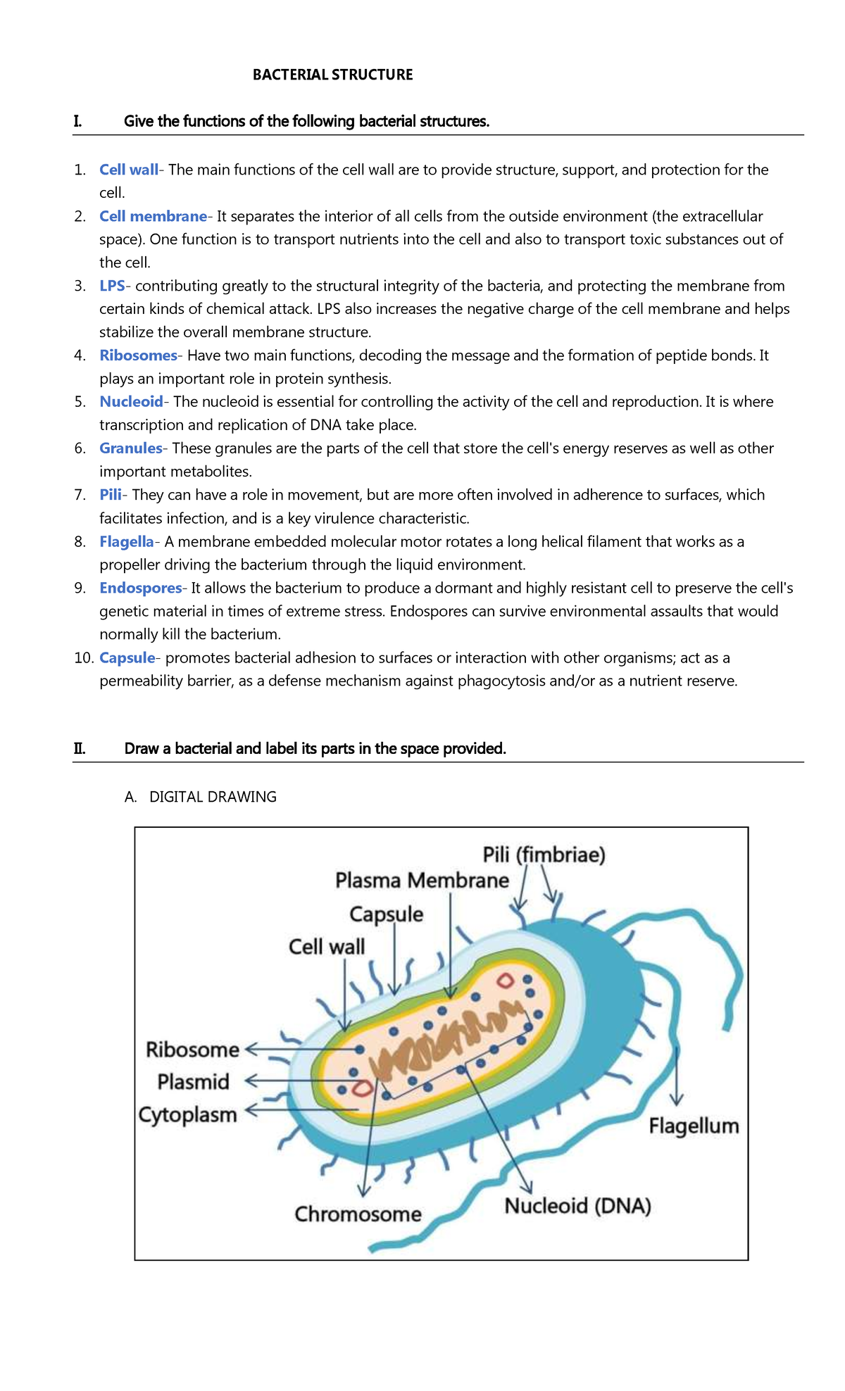 Bacterial Structure-Microbiology and Parasitology - BACTERIAL STRUCTURE ...