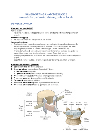 [Solved] Simpele Uitleg Over De Zuurstof Dissociatie Curve Met Plaatje ...