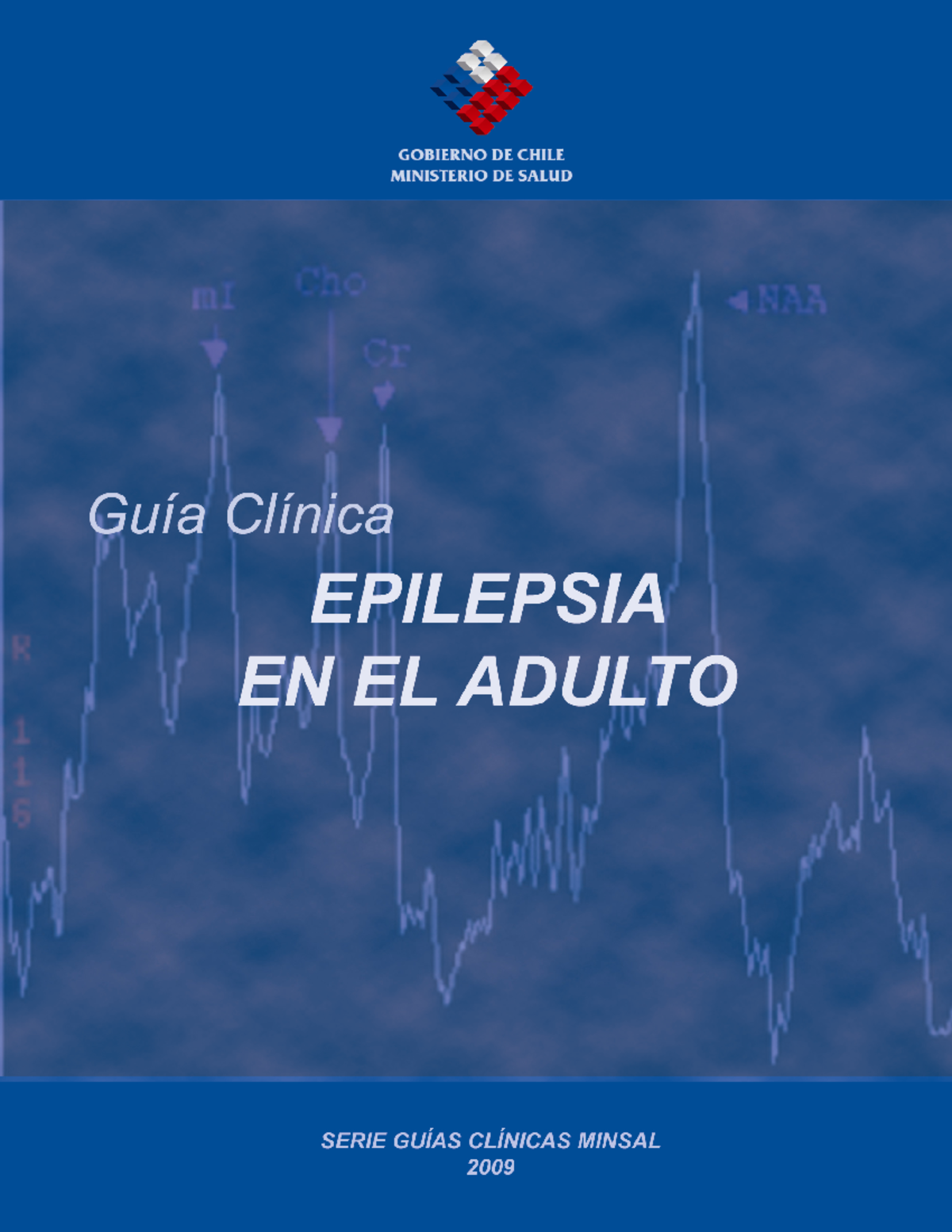 Guia Clinica Epilepsia - Ministerio De Salud MINISTERIO DE SALUD. Guía ...