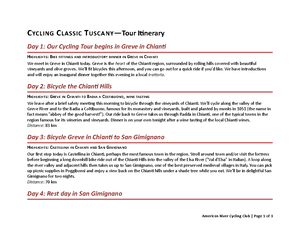 Beyonce Project-Research Project Edited - Erin Gass MUS Project 1 ...