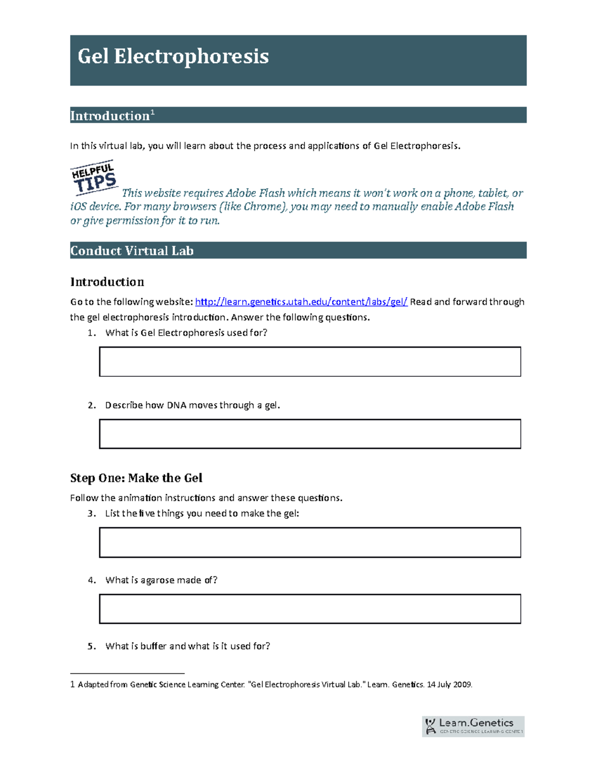 Gel Electrophoresis Lab Activity Write Up Introduction In This