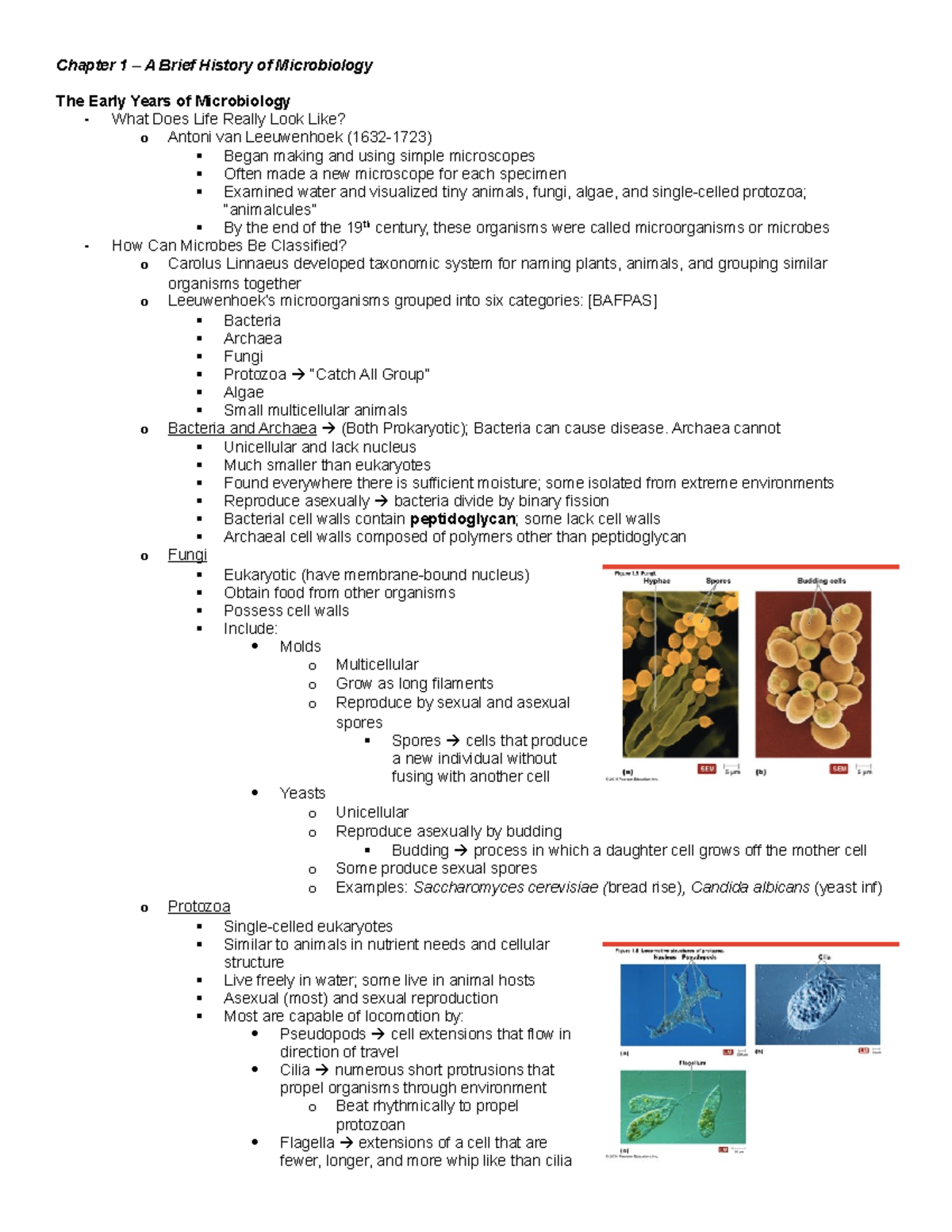 BIOL 2230 Chapter 1 Study Guide - Chapter 1 – A Brief History Of ...