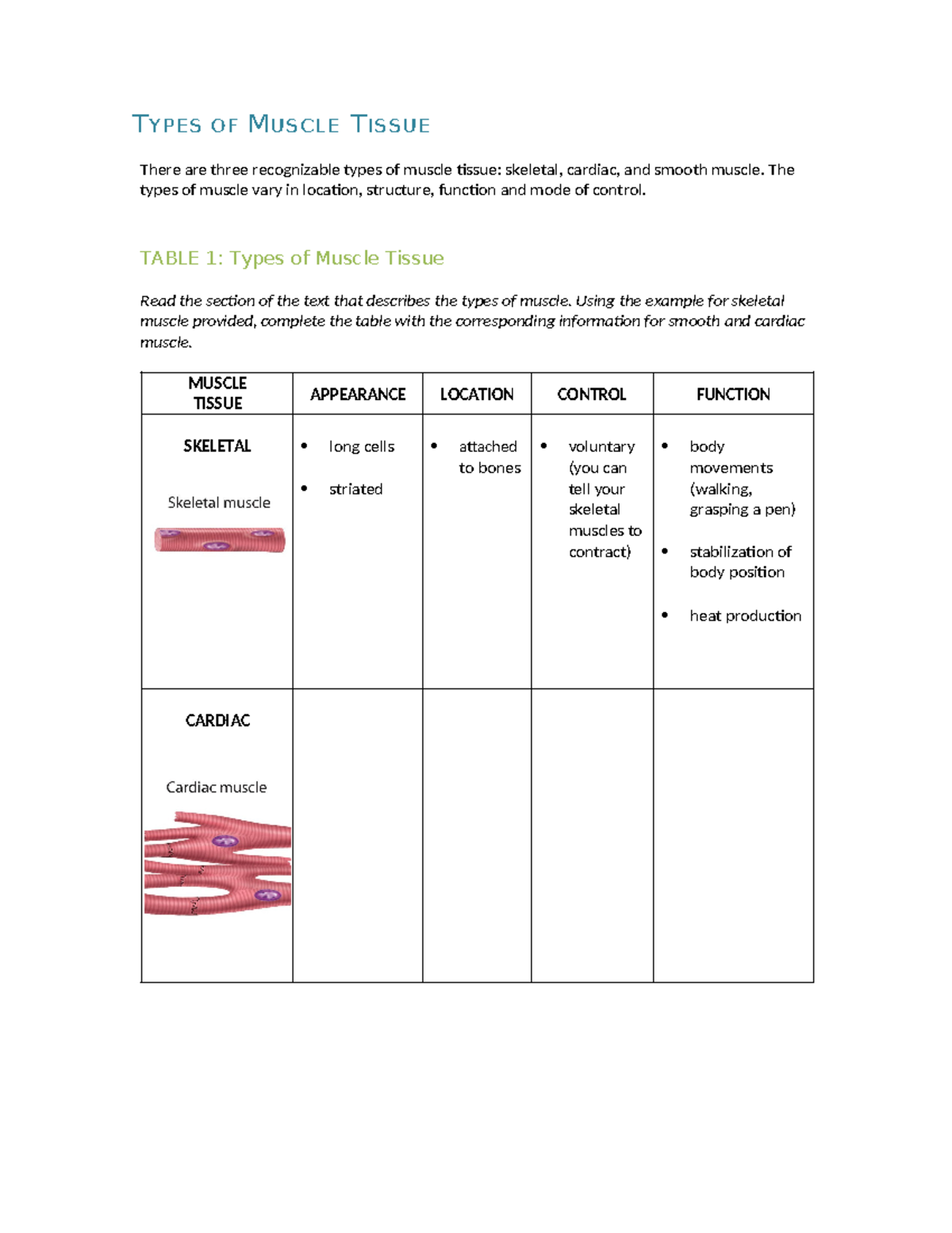 Types OF Muscle Tissue - T YPES OF M USCLE T ISSUE There are three ...