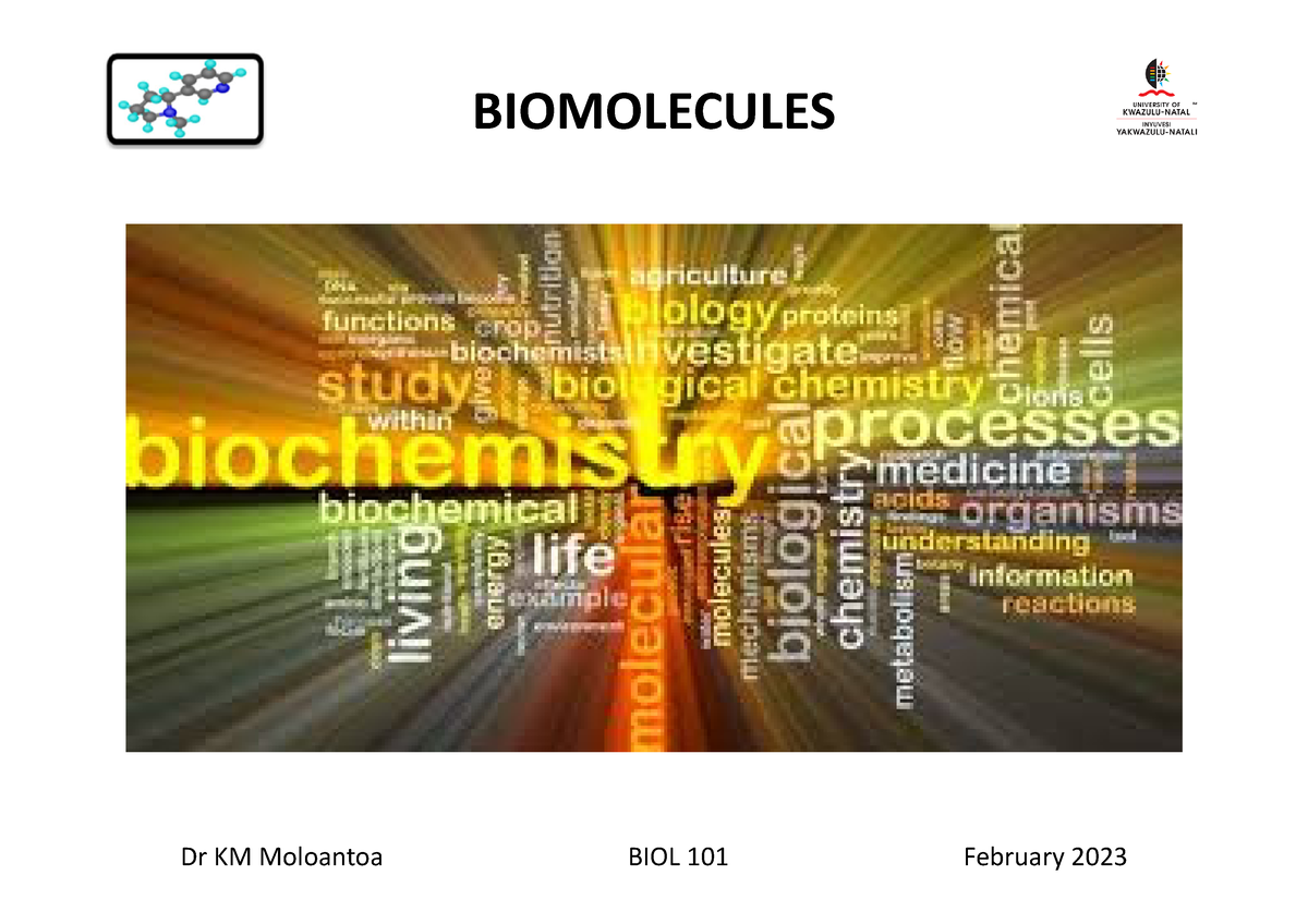 Biomolecules. Theme 1. Session 1 Of 4 DKMM - BIOMOLECULES BIOMOLECULES ...