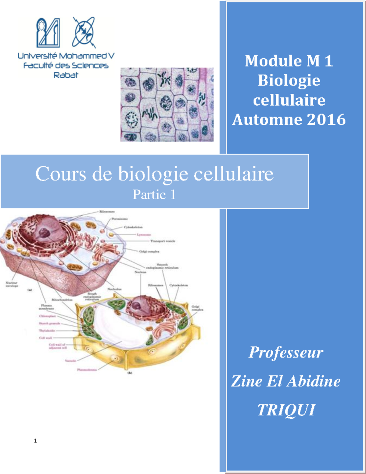 Biologie Cellulaire Cours 1 - Z Module M 1 Biologie Cellulaire Automne ...