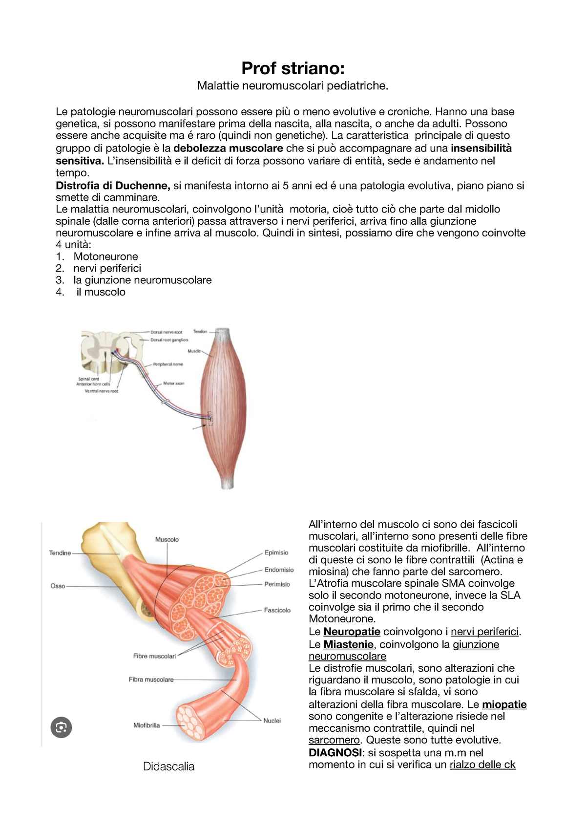 Striano - Prof Striano: Malattie Neuromuscolari Pediatriche. Le ...