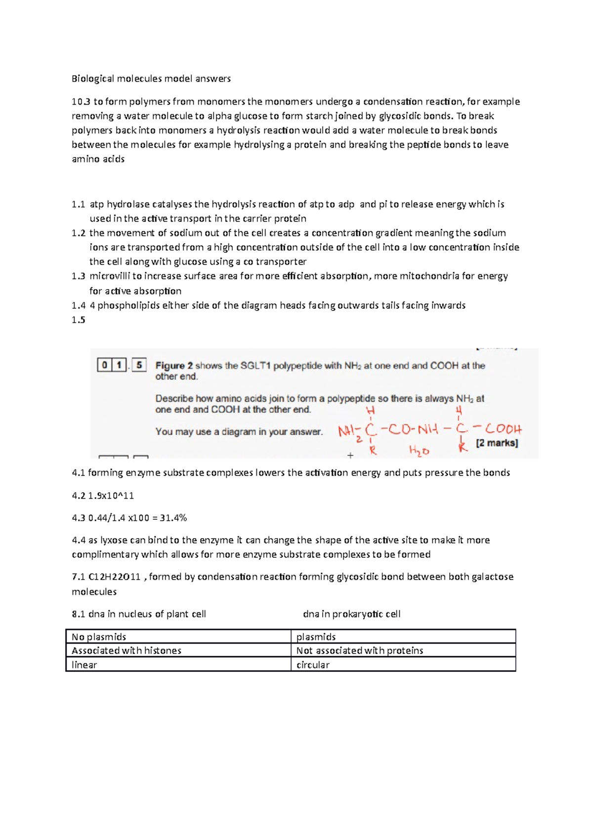 Biological molecules model questions/answers - Biological molecules ...