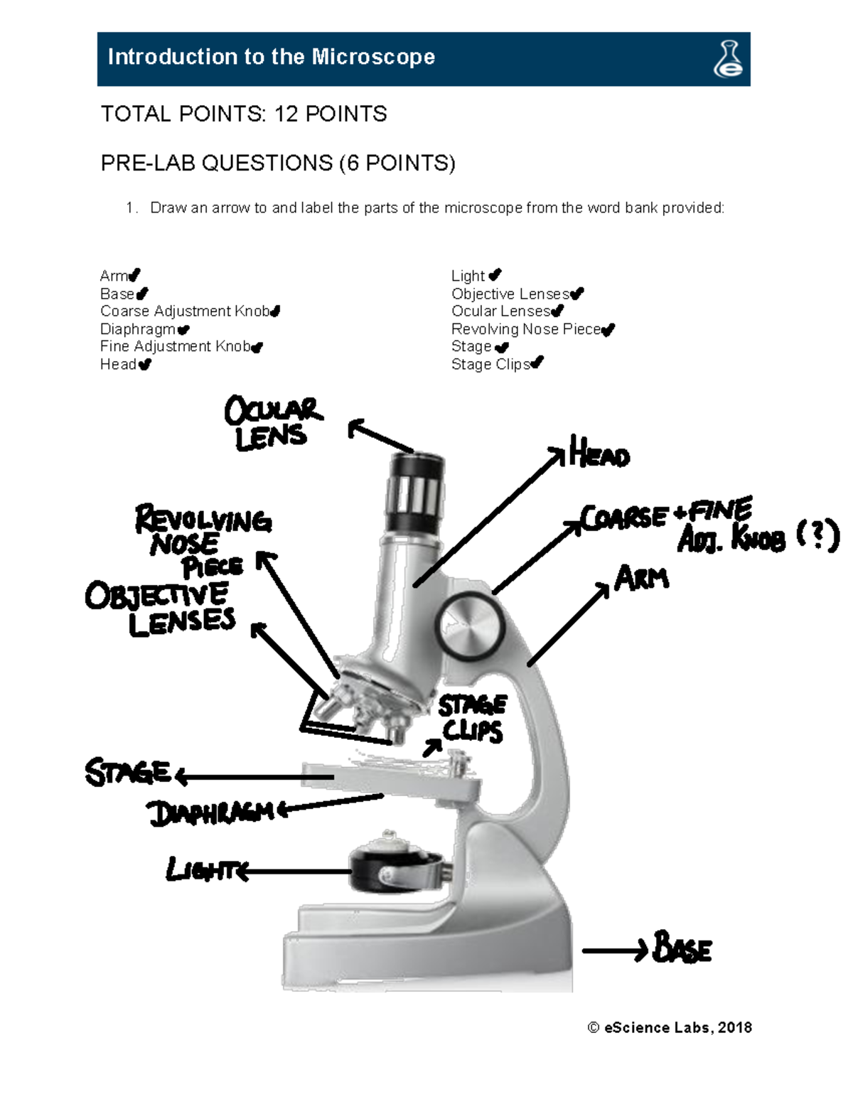 Microscope Workbook © eScience Labs, 2018 Introduction to the