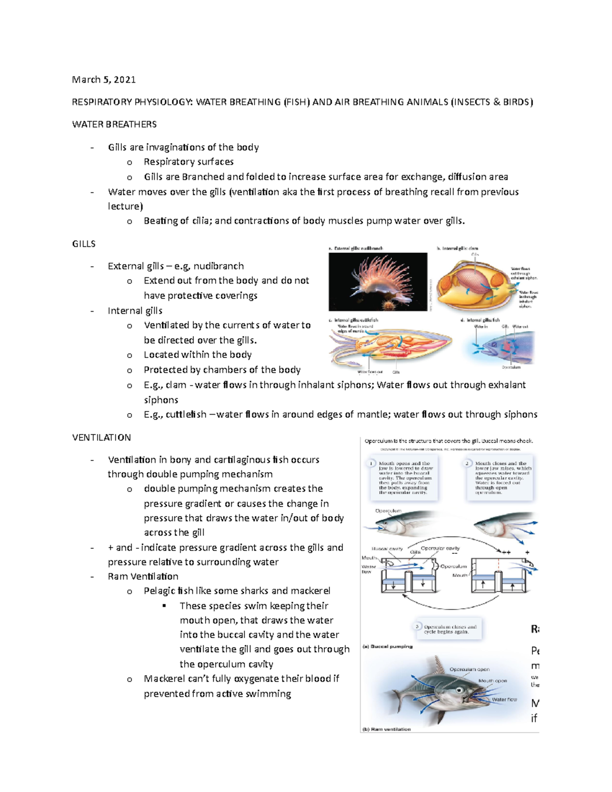 March 5 - Lecture Notes - March 5, 2021 RESPIRATORY PHYSIOLOGY: WATER ...