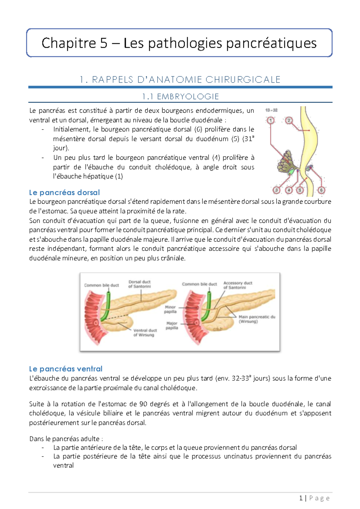 chapitre-5-les-pathologies-pancr-atiques-anatomie-pathologique