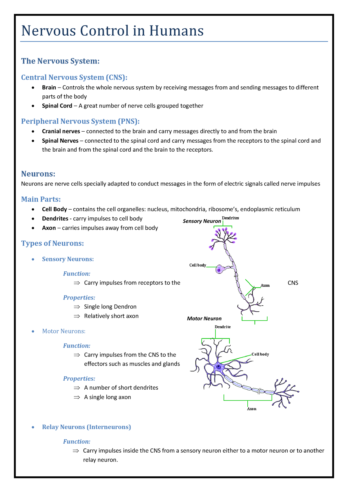 Nervous-Controlin-Humans - Nervous Control In Humans The Nervous System ...