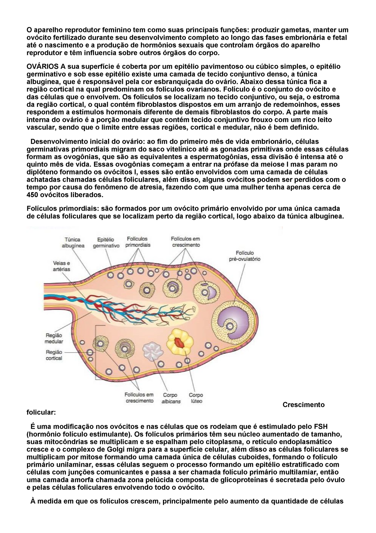 Histologia DO Sistema Reprodutor Feminino O Aparelho Reprodutor Feminino Tem Como Suas