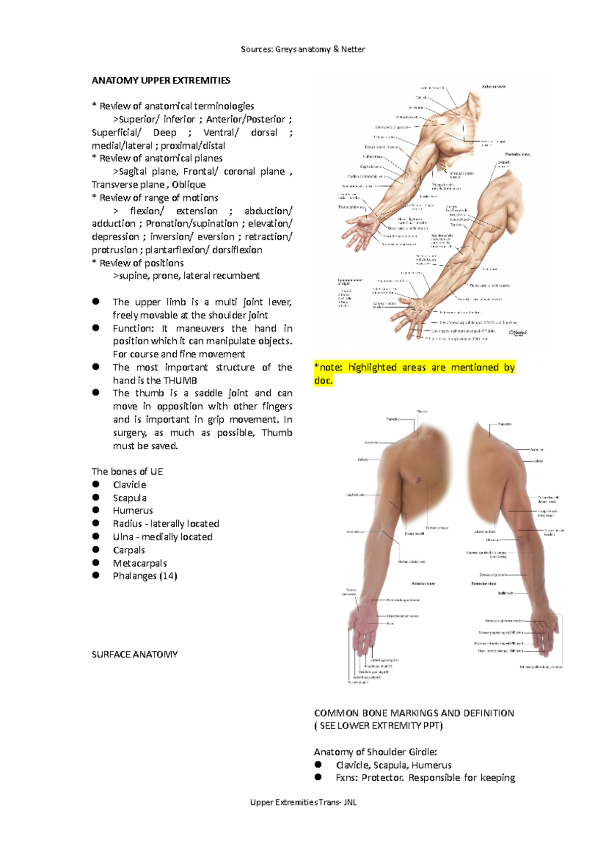 Anatomy UE - Upper ext - ANATOMY UPPER EXTREMITIES * Review of ...