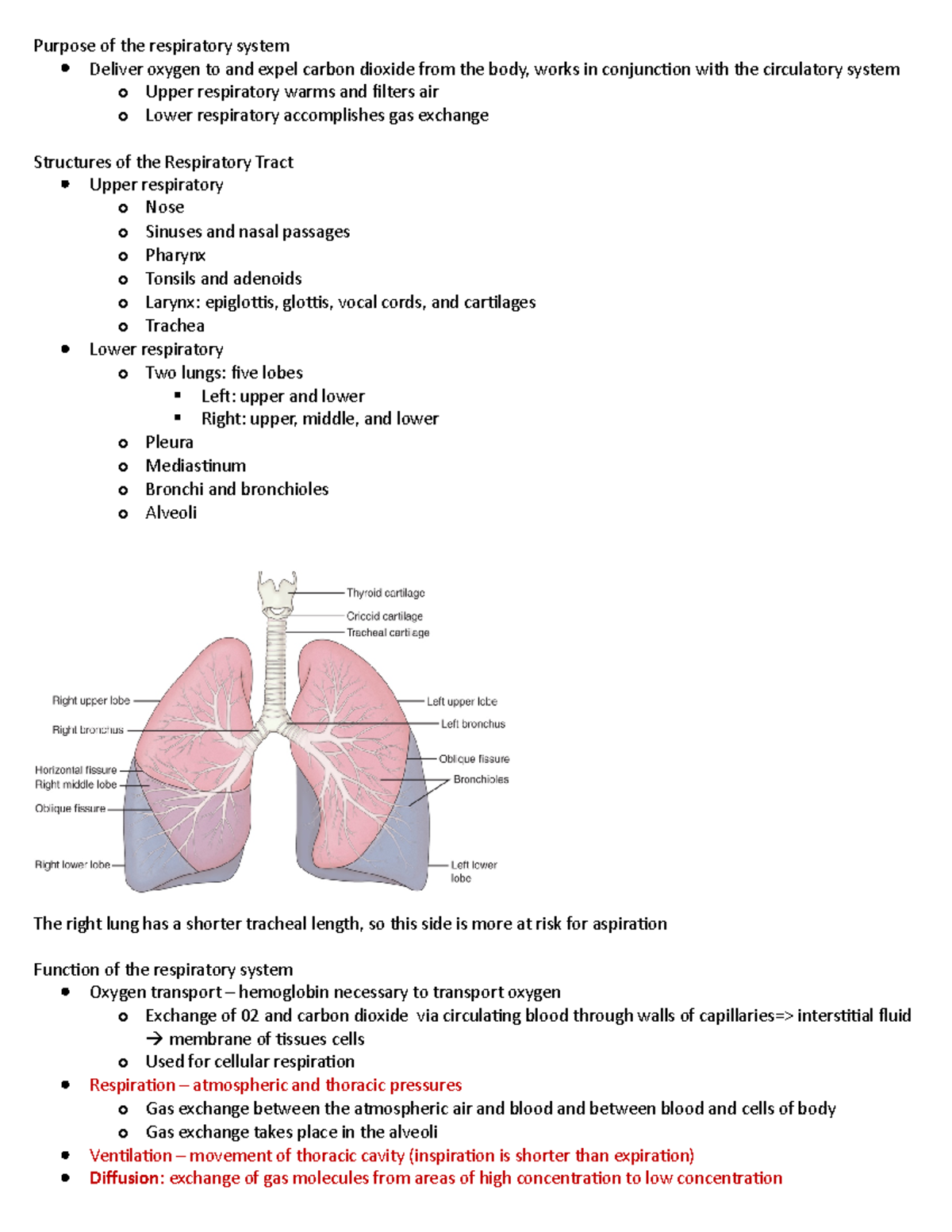 Assessment Of Respiratory Function - Purpose Of The Respiratory System ...