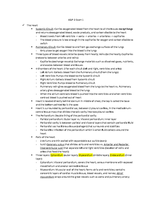 Exam 2 A&p 2 - Outline Of All Nptes For Exam 2 - A&p 2 Exam 2 Immune 