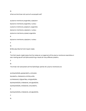 Chemical level of organization brainscape - Q What are the four major ...