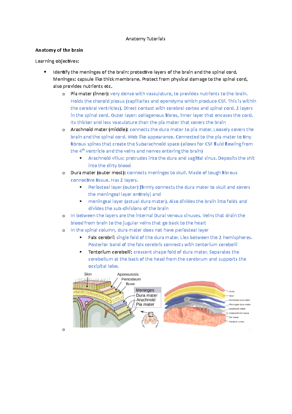 Anatomy Tutorials - Anatomy Tutorials Anatomy of the brain Learning ...