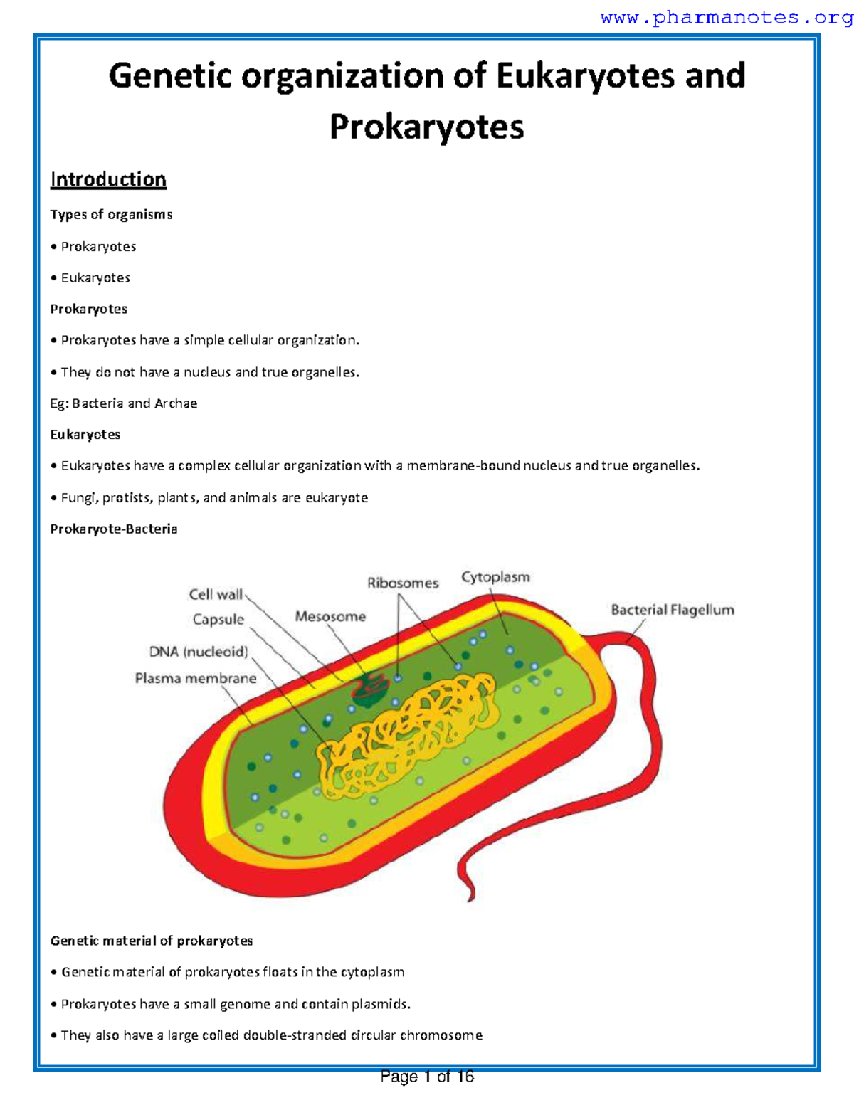Genetic Organization Of Eukaryotes And Prokaryotes 1 Genetic 