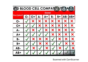 Plbi 327 learning outcomes - PLBI 327 Define macroevolution Describe ...