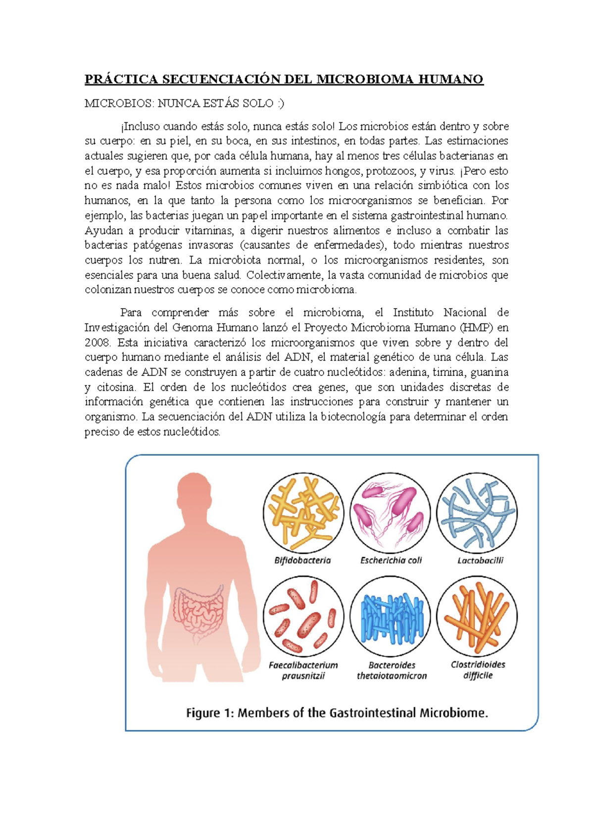 Practica+ Secuenciaci%C3%93N - PRÁCTICA SECUENCIACIÓN DEL MICROBIOMA ...