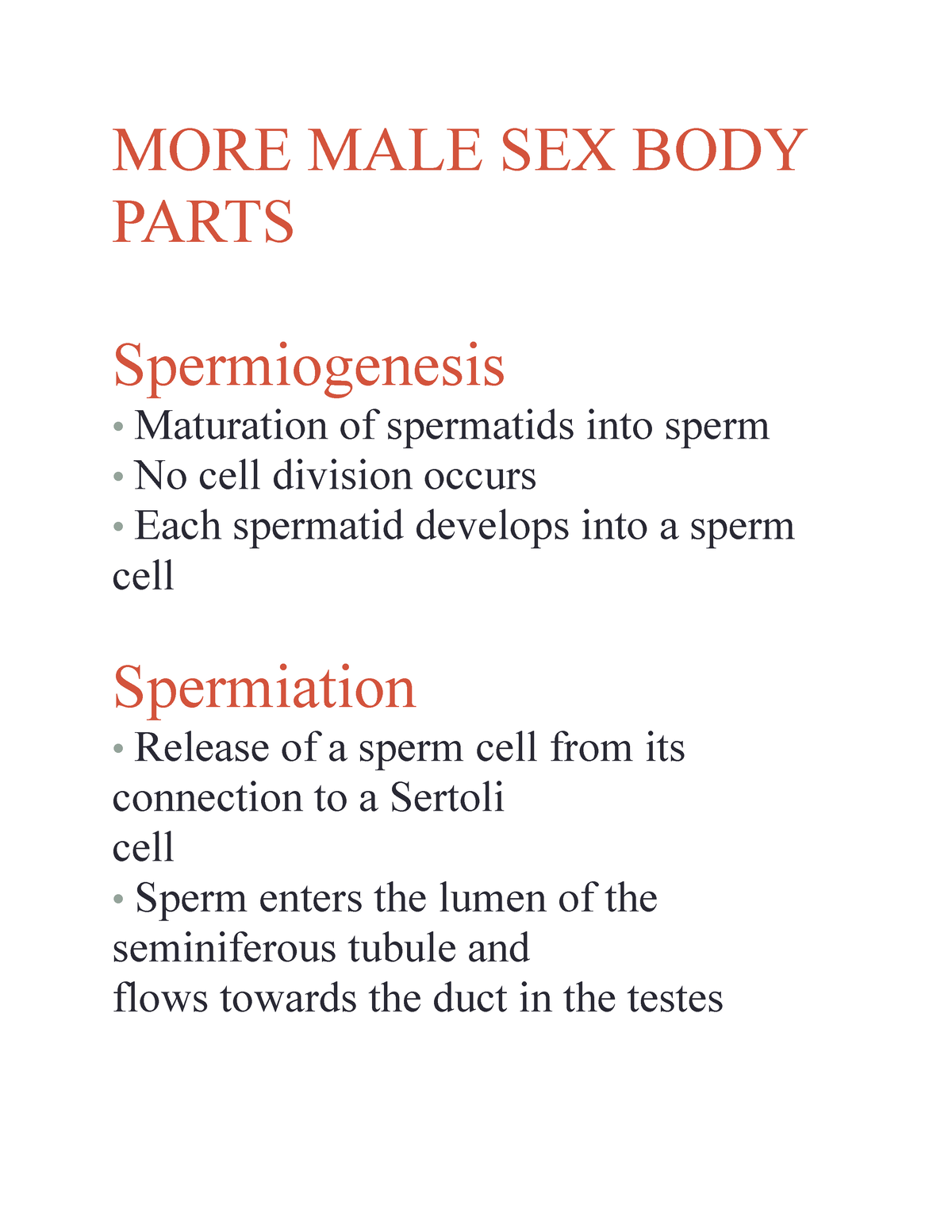 Male Sex Parts 22 More Male Sex Body Parts Spermiogenesis • Maturation Of Spermatids Into 0563