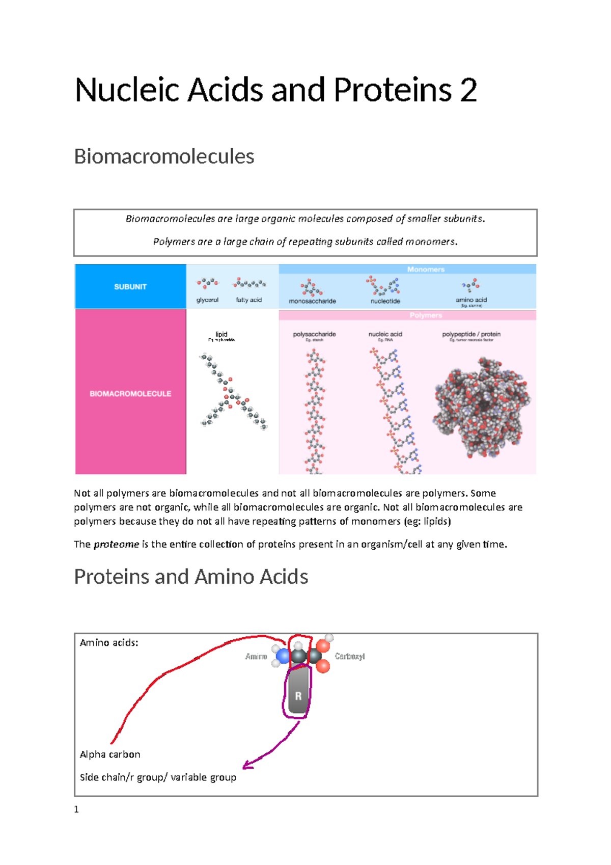 Nucleic Acids and Proteins 2 - Some polymers are not organic, while all ...