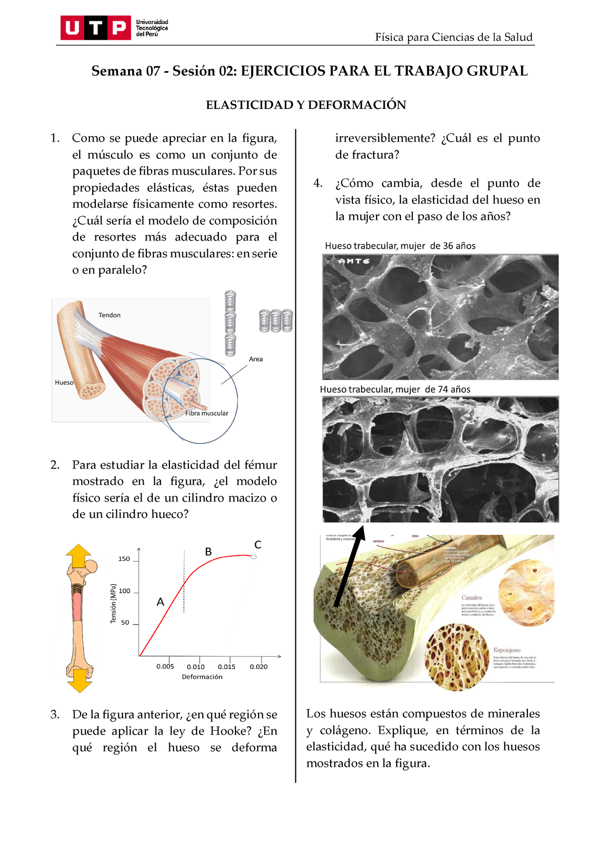 S07.s2 - Ejercicios - Física Para Ciencias De La Salud Semana 07 ...