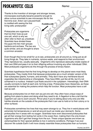 James Burdge - cell-organelle-webquest-student page - Cell Organelle ...