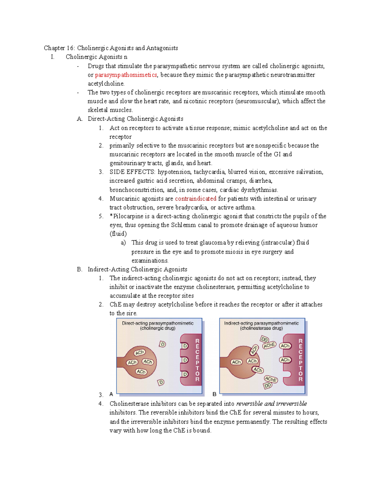 Chapter 16 Cholinergic Agonists and Antagonists - Chapter 16 ...