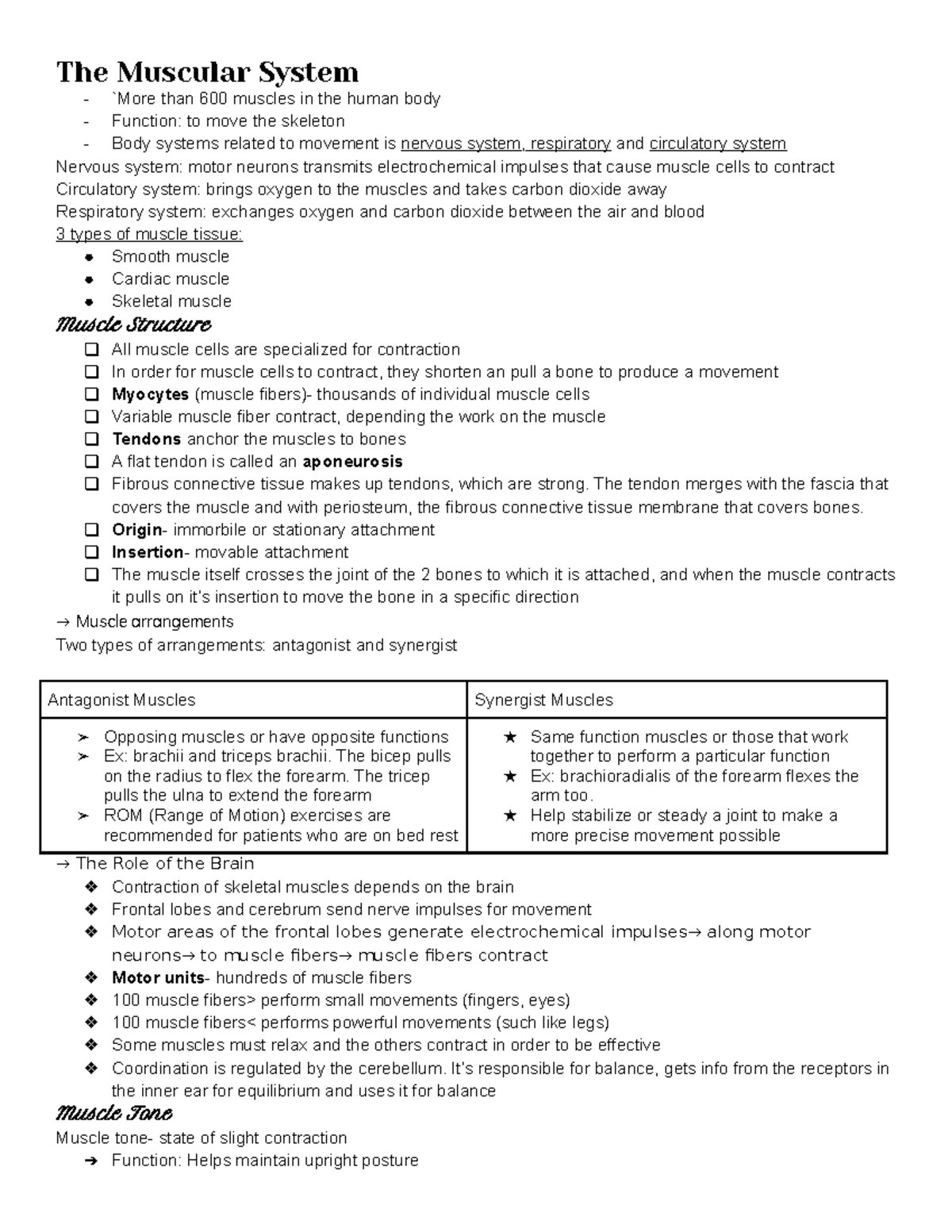 Ch. 7 Muscular System - Human anatomy notes - `More than 600 muscles in ...