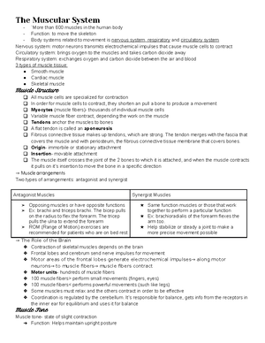 Combinepdf - Diagrams of partial section of HA - BIOL 2404 - Studocu
