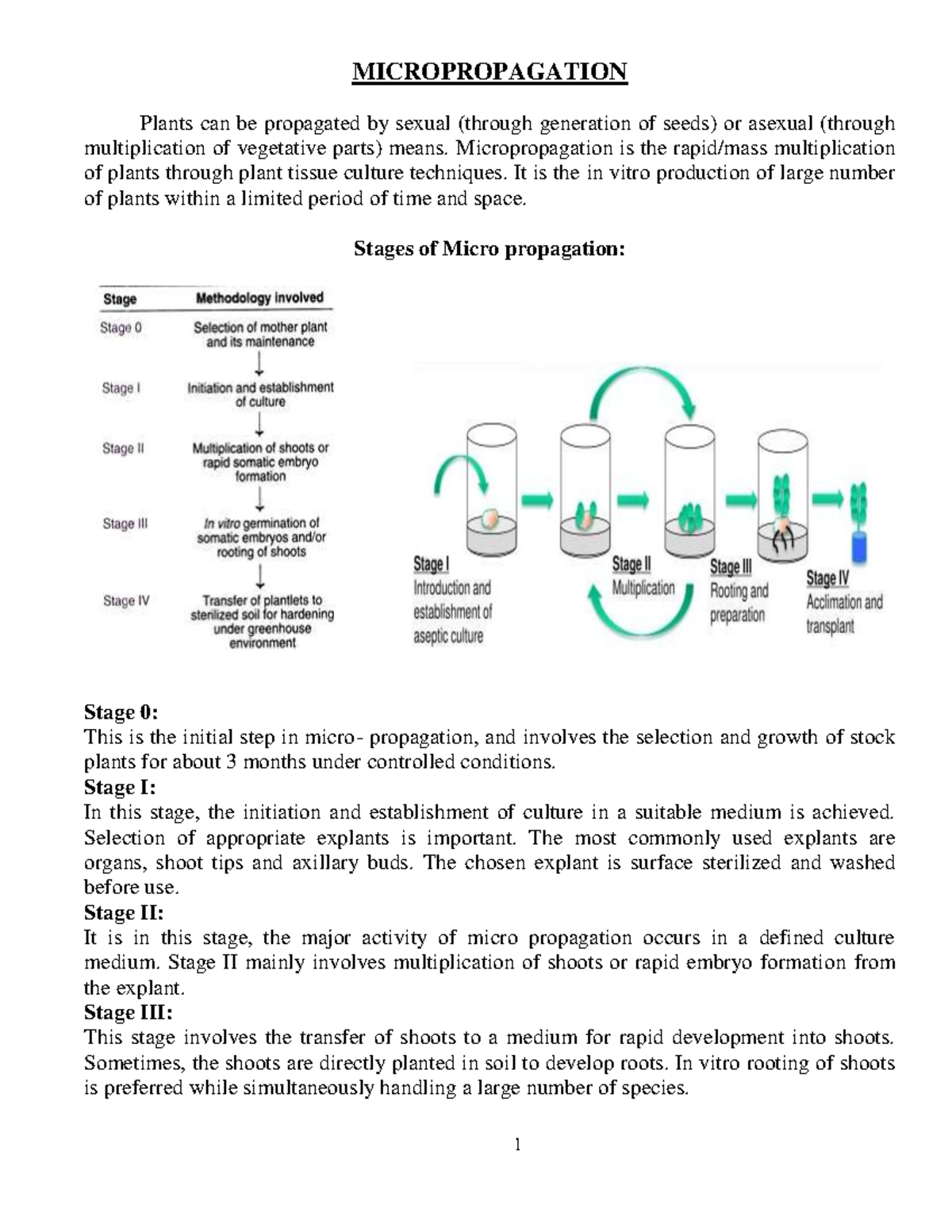 Micropropagation - MICROPROPAGATION Plants Can Be Propagated By Sexual ...